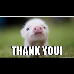 Meet your Posher, Deidra